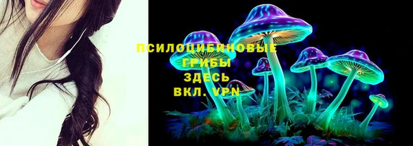 мет Богданович