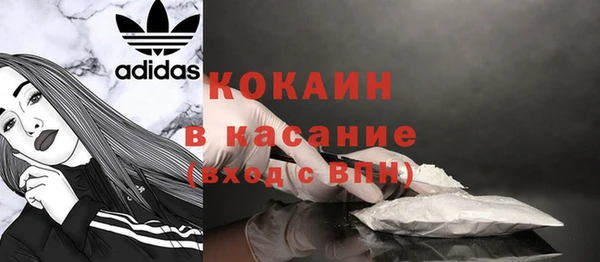 сатива Арсеньев