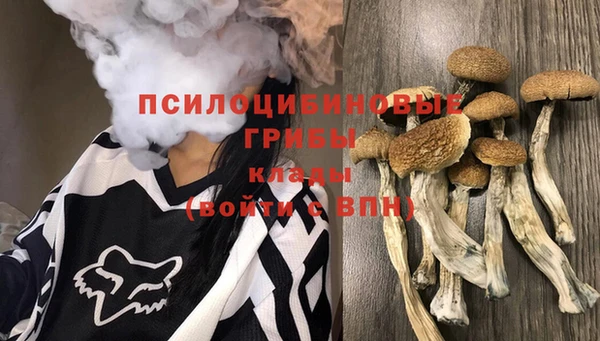 метадон Бородино
