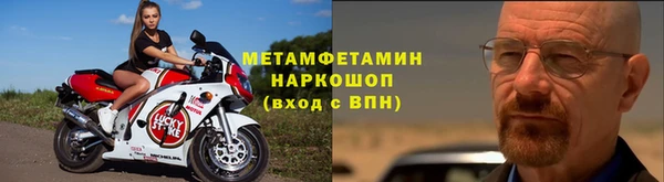 прущие грибы Богородицк