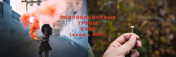 прущие грибы Богородицк