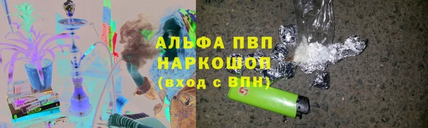 прущие грибы Богородицк