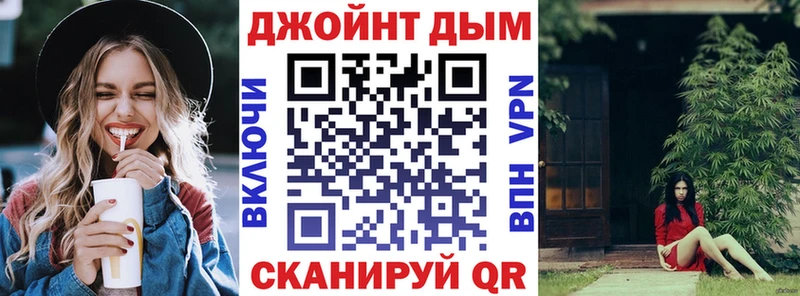 где можно купить   Суворов  Канабис ГИДРОПОН 